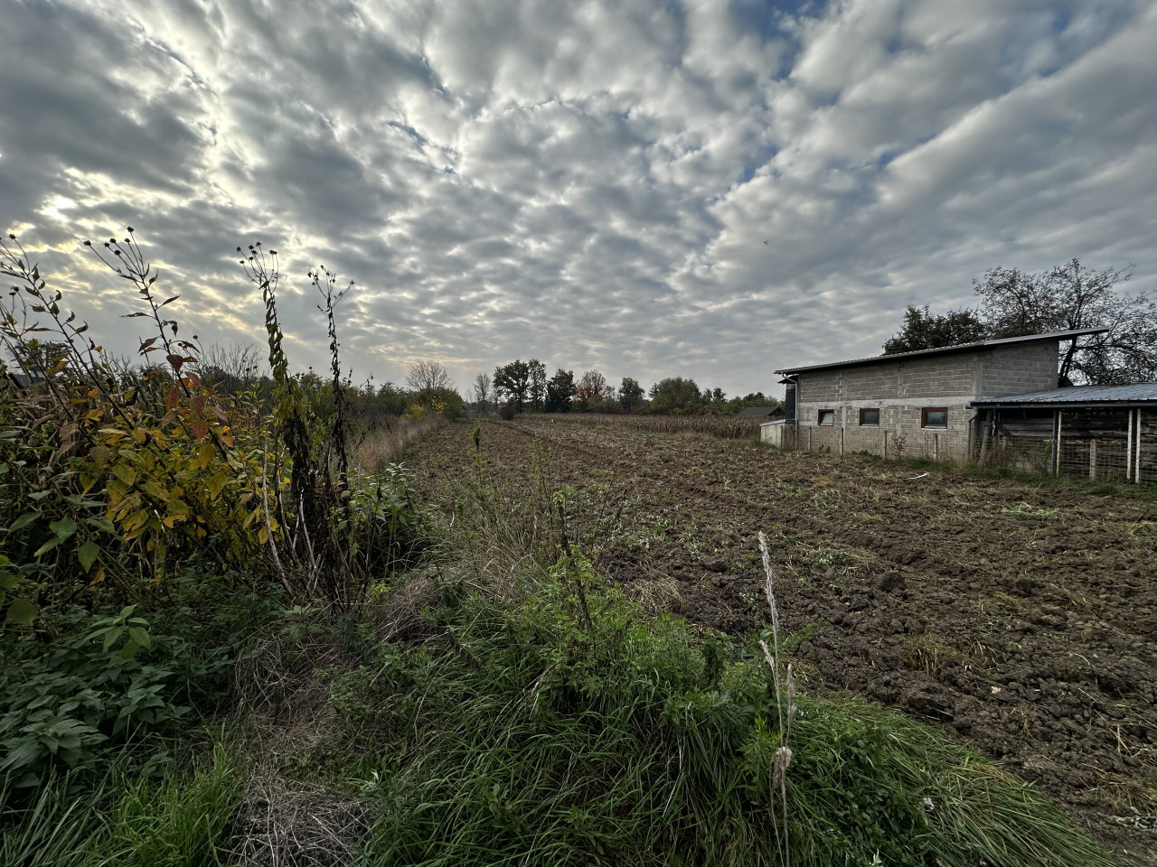 Kuća i plac na obali Vrbasa - 4094 m2 11