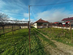 Kuća i plac na obali Vrbasa - 4094 m2 photo 4