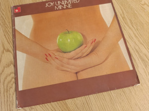 Joy Unlimited - Minne