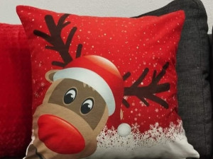 jastucnica/ jastusnica/ novogodisnja