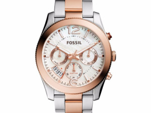 Sat Fossil ES4135