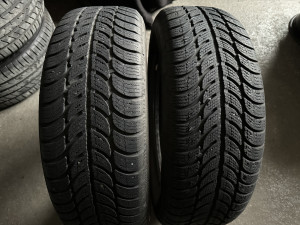Gume Zimske Sava 195/65/R15 Eskimo S3 195 65 15