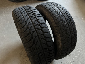 Gume Zimske Sava 195/65/R15 Eskimo S3 195 65 15