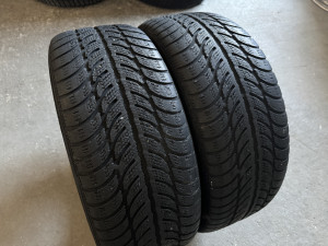 Gume Zimske Sava 205/55/R16 Eskimo S3 205 55 16