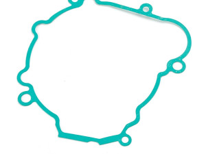 Dihtung Beta 250 300 RR Xtrainer dekla struje namotaja