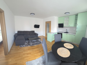 Najam - dvosoban stan 38m2 - Ul. Akademika Boriše Starovića