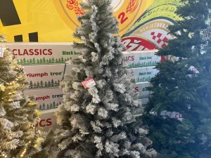 BOR JELKA BOZICNA NOVOGODIŠNJA UKRAS 215x114cm