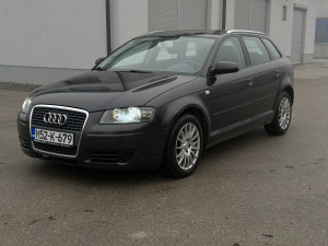 Audi A3 1.9tdi 77kw 2008g klima zeder xenon tempomat