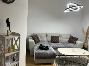 Stan na dan nova godina