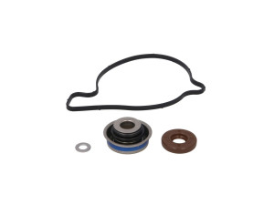 Set za reparaciju vodene pumpe ATV Can-Am Outlander Renegade