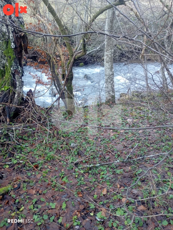 Zemljište Trnovo, Delijaši,Zagojska ćuprija 5