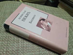 Borislav Pekić - Besnilo