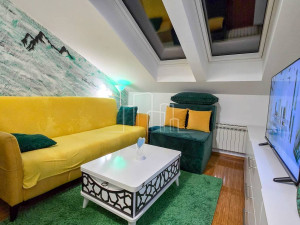 Stan sa Spavaćom Sobom 31,39m2 Spasovdanska