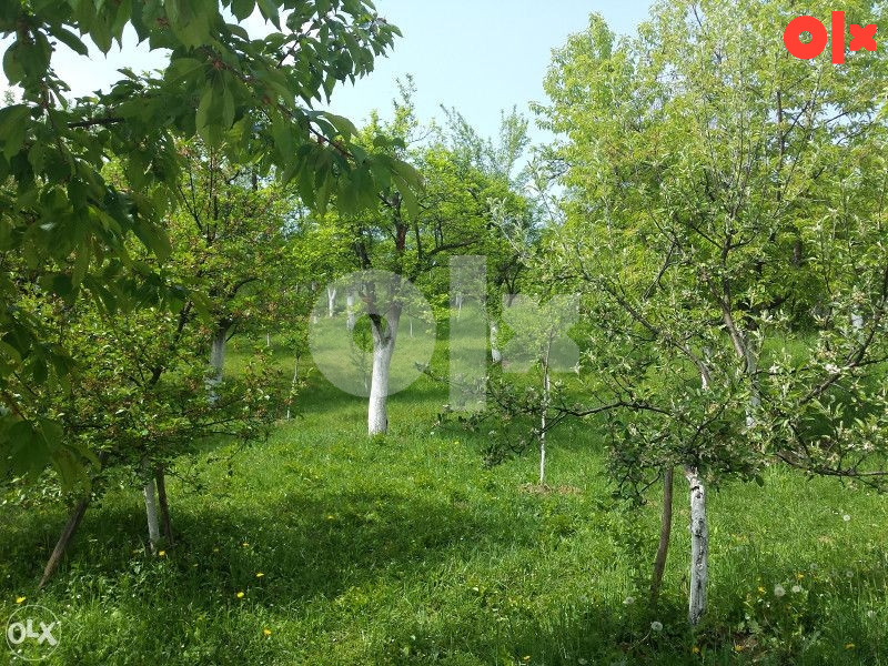 Kuća Ilidža Nadosjek photo 5