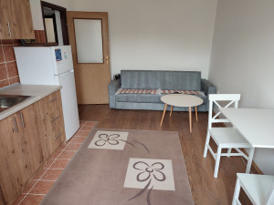 gency Plus iznamljuje predivnu renoviranu garsonjeru.