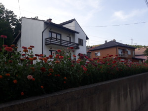 Kuća Sarajevo -  Reljevo Novi Grad photo 2
