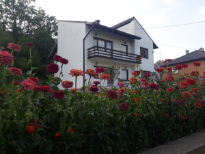 Kuća Sarajevo -  Reljevo Novi Grad photo 5