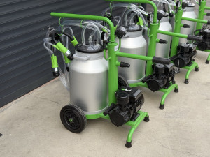 Muzilica za Krave novo Alminiska kanta Turska