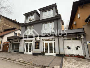 Kuća sa poslovnim prostorom i pomoćnim objektima