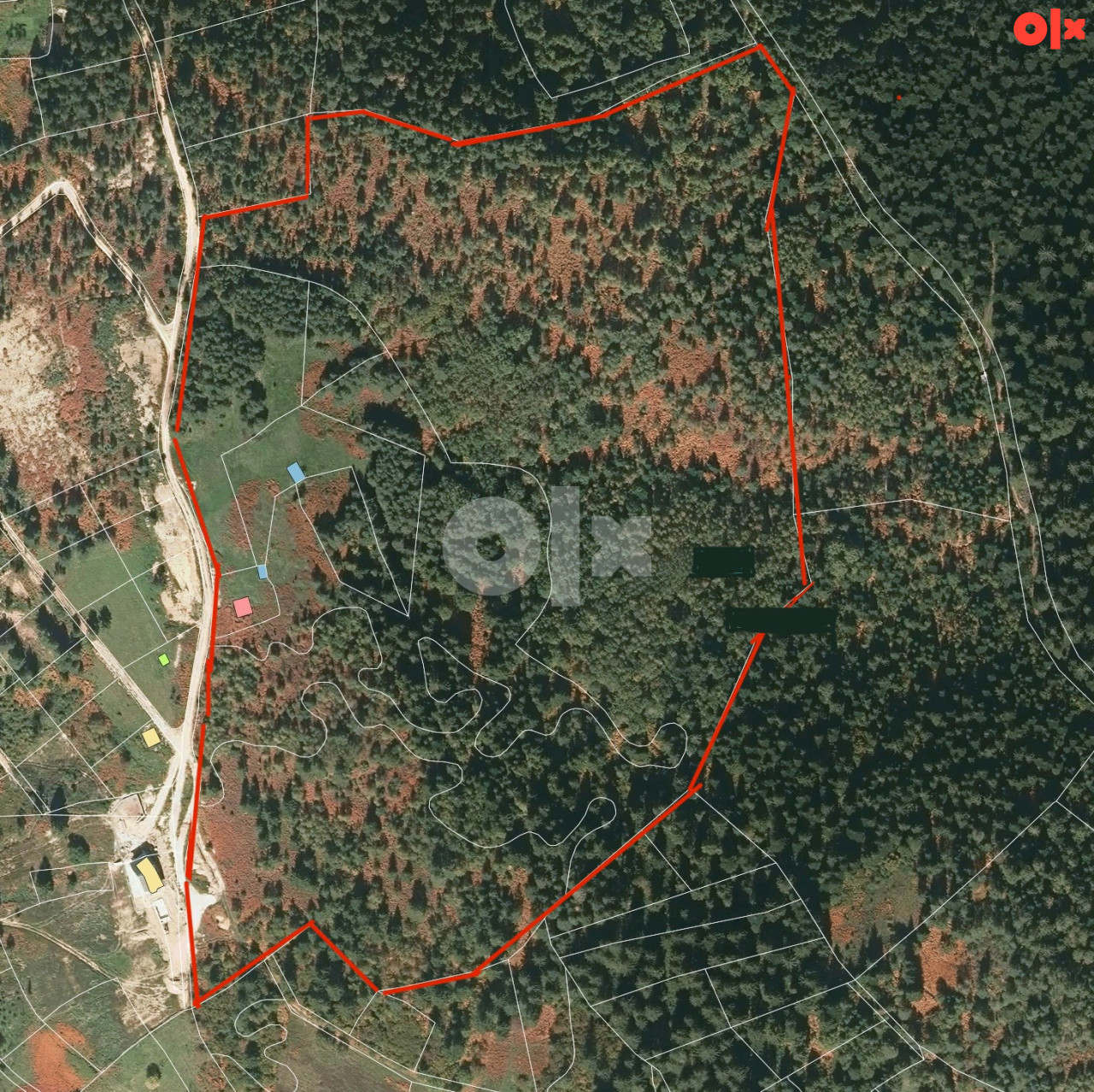 Zemljište Nišići Nišićka visoravan 106.000m2 prilaz TOP POGLED 2
