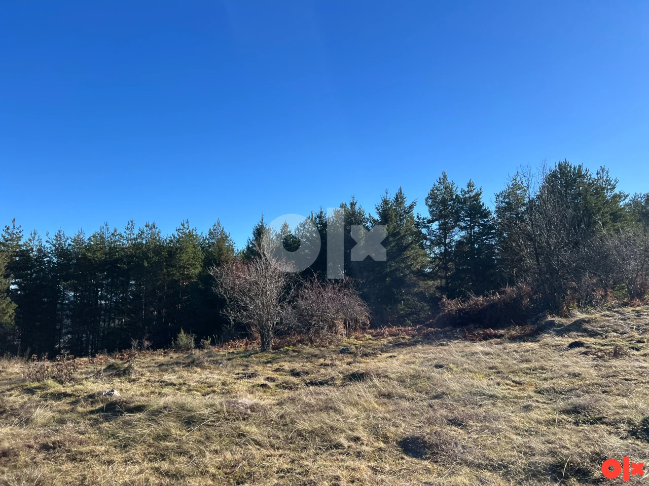Zemljište Nišići Nišićka visoravan 106.000m2 prilaz TOP POGLED 6