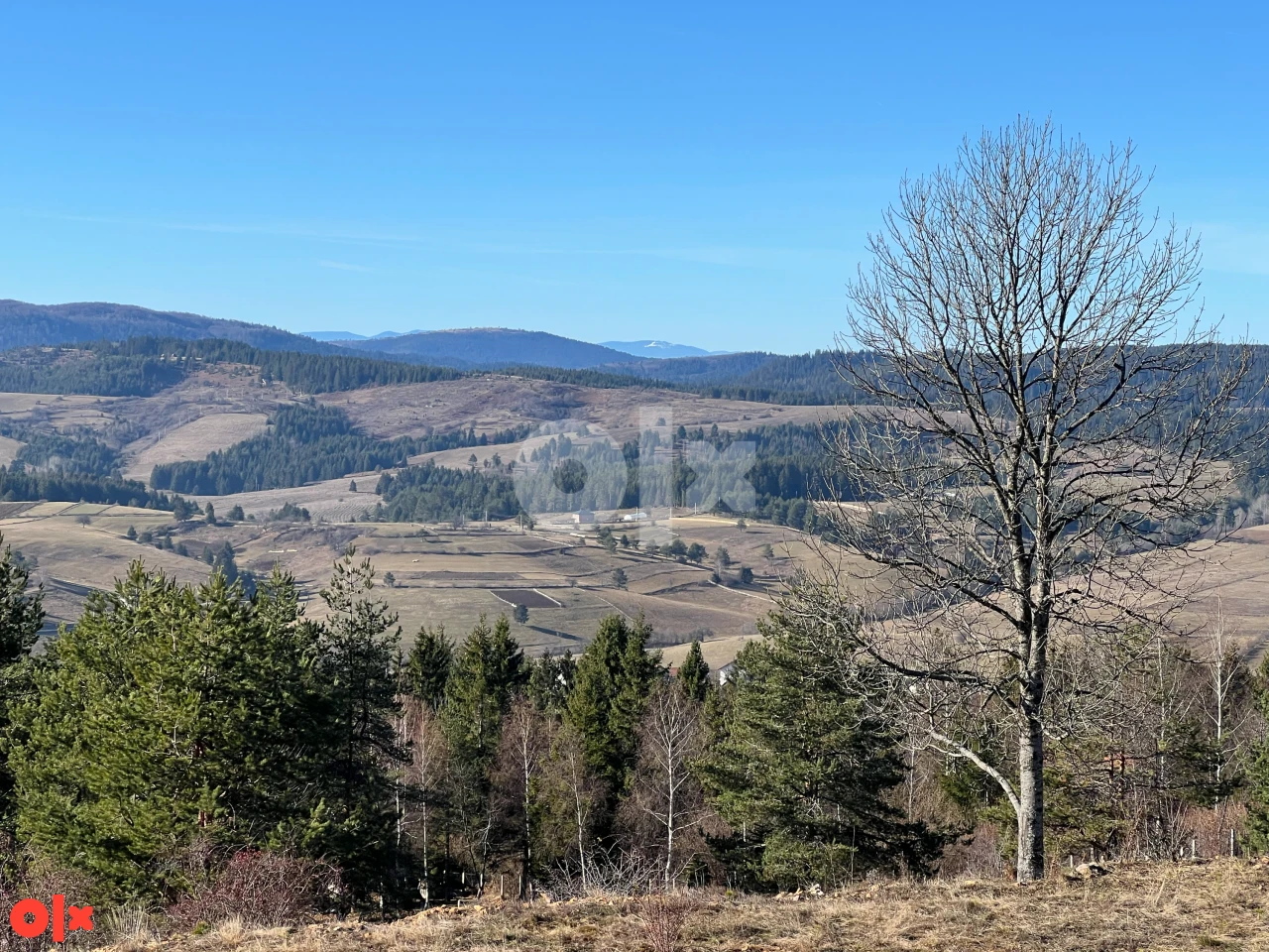 Zemljište Nišići Nišićka visoravan 106.000m2 prilaz TOP POGLED 8