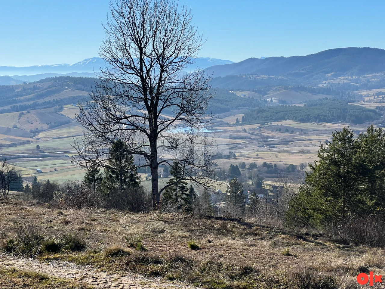 Zemljište Nišići Nišićka visoravan 106.000m2 prilaz TOP POGLED 10