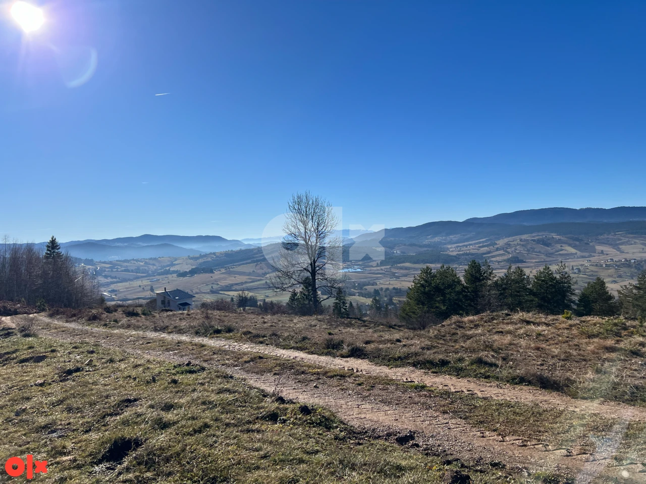 Zemljište Nišići Nišićka visoravan 106.000m2 prilaz TOP POGLED 12