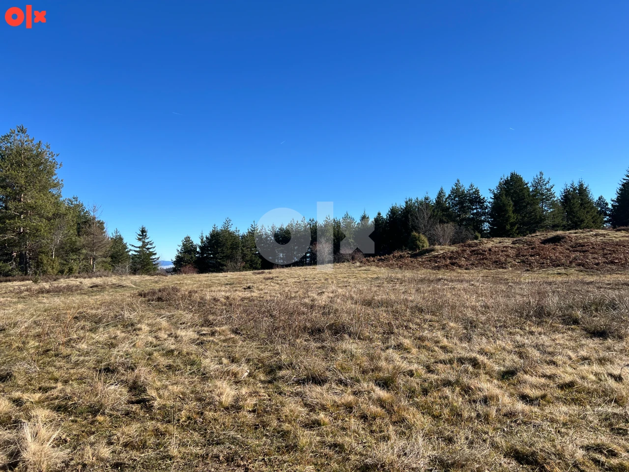 Zemljište Nišići Nišićka visoravan 106.000m2 prilaz TOP POGLED 14
