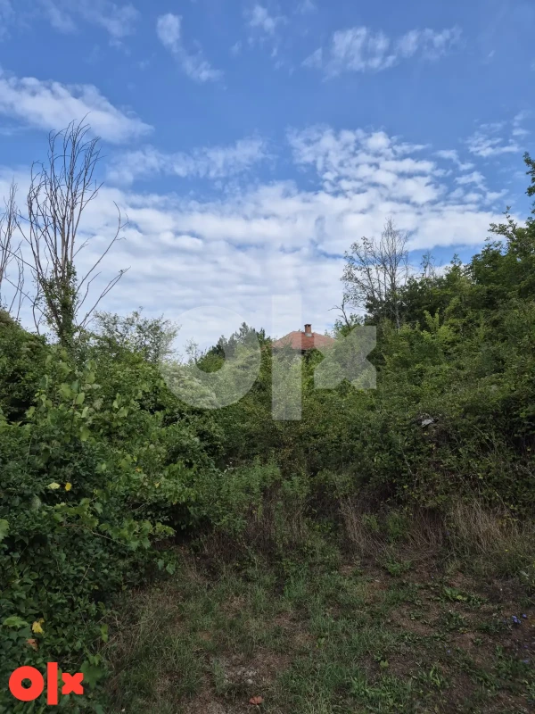 Prodajem staru kuću sa zemljom i sumom 8000m2 konjic 3