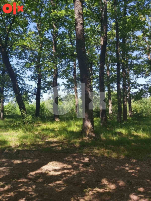 Zemljište i šuma