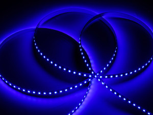 LED traka 5m 2835 12V 8mm 120 LED plava