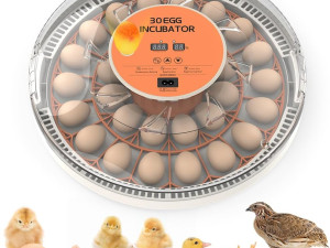 automatski Inkubator za jaja 30 kom