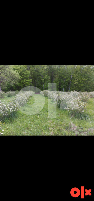 Zemljište 27.142 m2 3