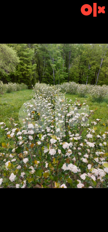 Zemljište 27.142 m2 6