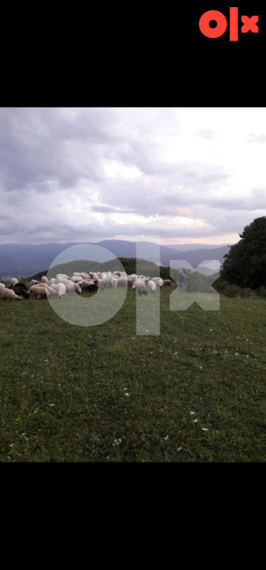 Zemljište 27.142 m2 11