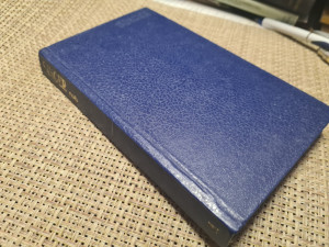 Rob - Isak Baševis Singer