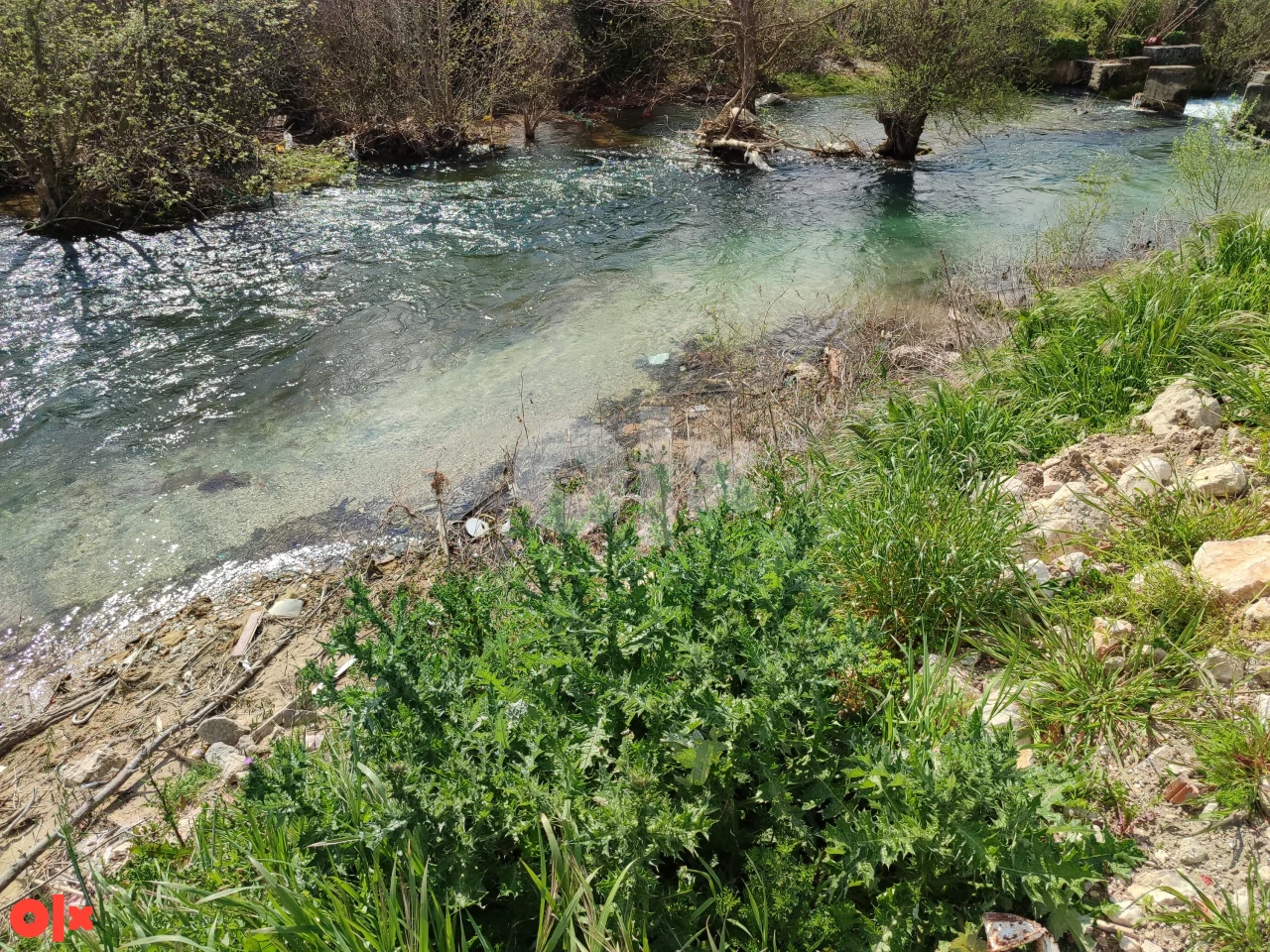 Zemljište Stolac 2000m2 5