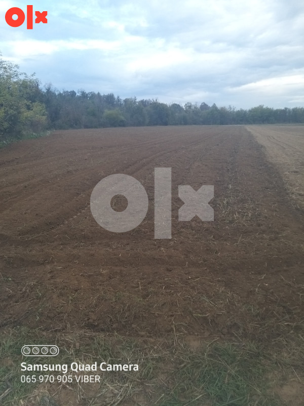 NJIVA ZEMLJISTE  7 DULUMA SELO MEDJASI 065970905