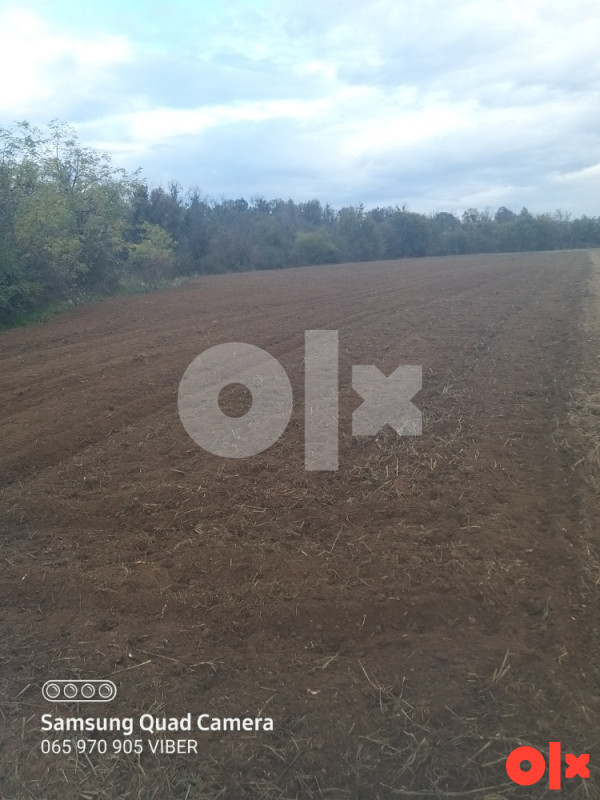NJIVA ZEMLJISTE  7 DULUMA SELO MEDJASI 065970905 2