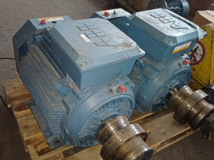 ELEKTROMOTOR 45kW 2968obrt.
