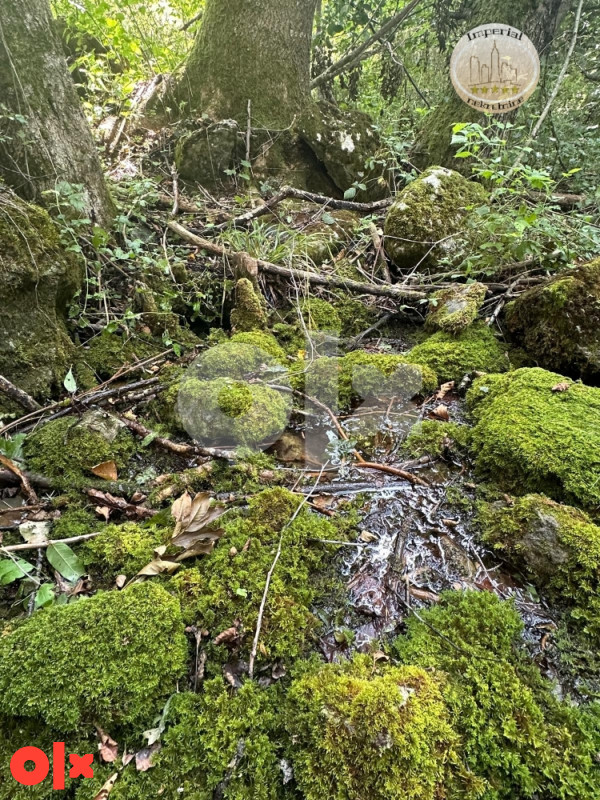 NA PRODAJU 70.000 m2 zemljišta,Brojnići (Smrdan),Prača 3