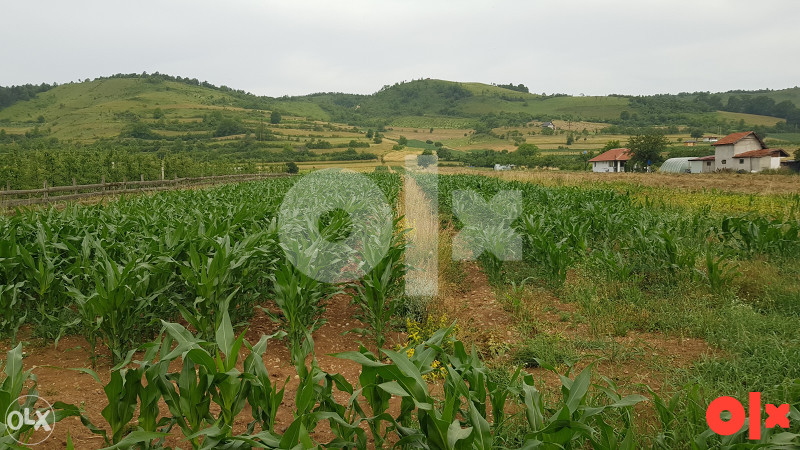 Poslovna zona Šaš Breza 5
