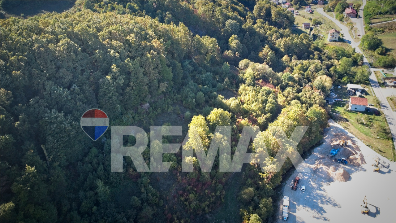 Šuma i zemlja 24dN/Pavlovac/kod glavnog puta