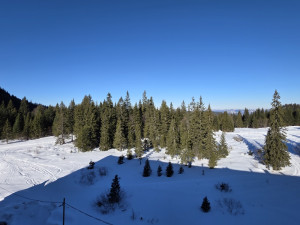 Top Ponuda! Dvosoban apartman Jahorina prodaja