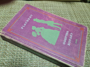 Gustave Flaubert, Gospođa Bovary