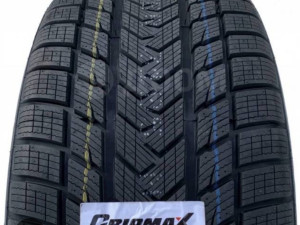 315 30 22 R22 315/30R22 GRIPMAX PRO WINTER 107V XL M+S