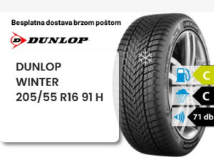205/55 R 16 91H DUNLOP WINTER