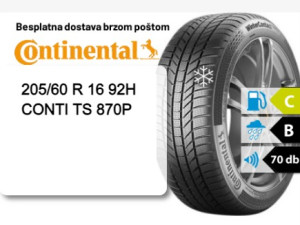 205/60 R 16 92H CONTI TS 870P