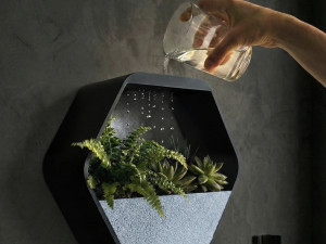 Ukrasne Dekorativne vazne (0005)